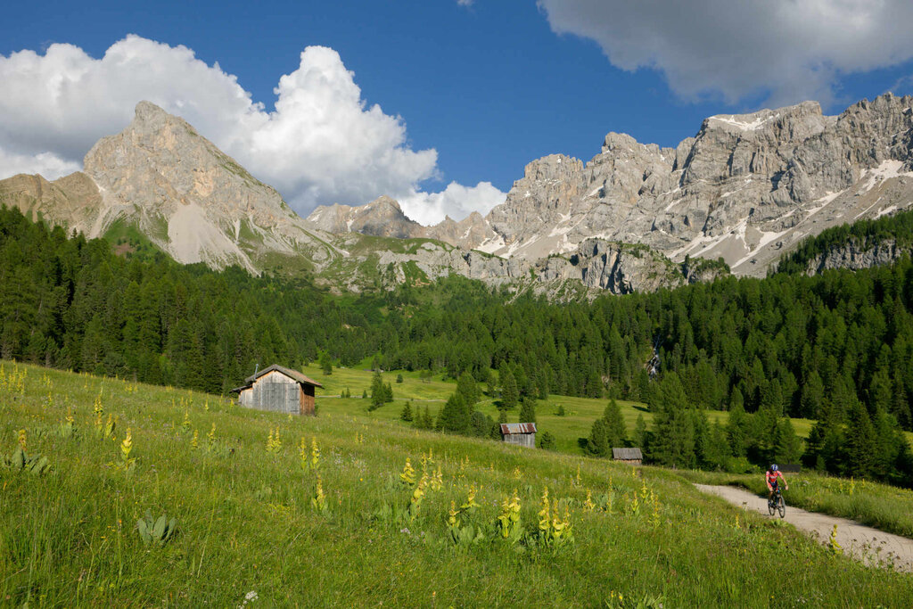 Content Dam Org 3 Images Full Rights Natura Val San Nicolo Archivio Apt Val Di Fassa Nangeli Val San Nicolo Est 3