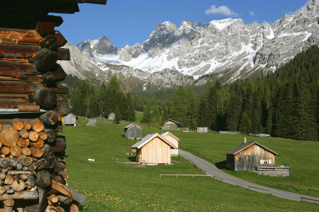 Content Dam Org 3 Images Full Rights Natura Val San Nicolo Archivio Apt Val Di Fassa Nangeli Val San Nicolo Est 4
